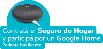 google-home